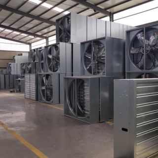 Quạt hút vuông - thông gió chuồng trại, nhà xưởng