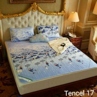 Chiếu tencel 2mx2m2