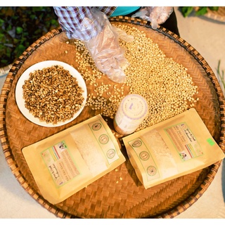 Protein Mầm Đậu Nành
