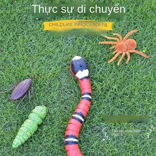 JToàn bộ người mới mô phỏng côn trùng điều khiển từ xa nhện rung cảm ứng thông minh bò nhỏ bé tarantula đồ chơi giả mạo