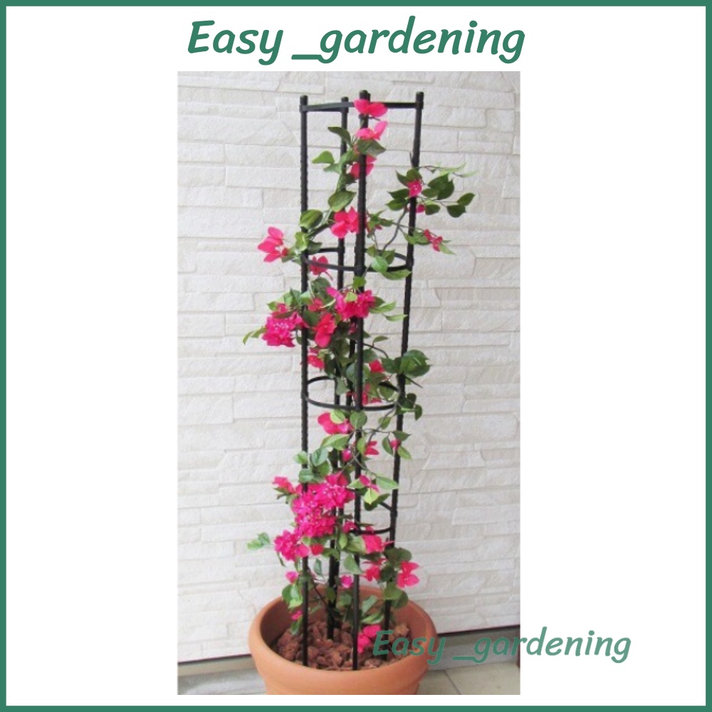 KHUNG ĐỠ, GIÁ ĐỠ HOA HỒNG LEO, KHUNG LEO ĐA NĂNG  MÀU ĐEN