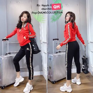 Bộ thể thao cotton da cá cao cấp