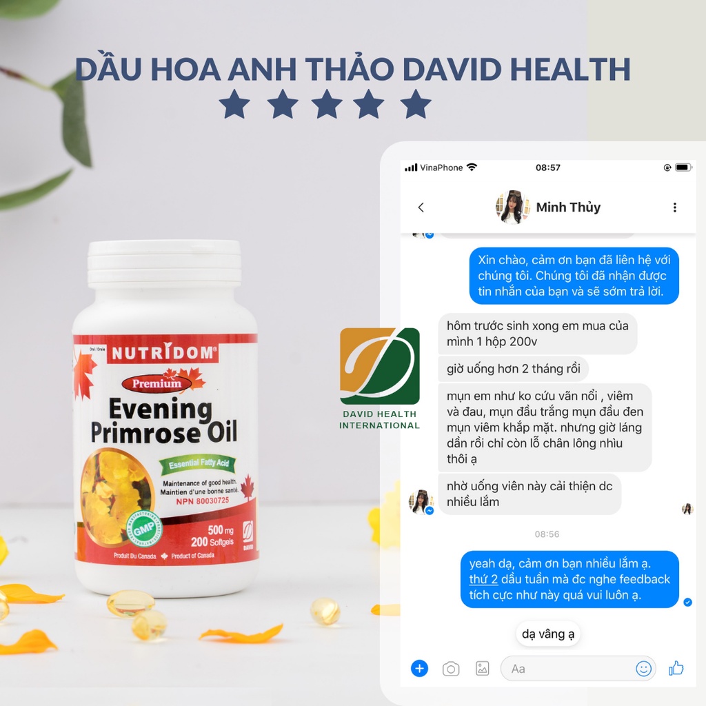 Evening Primrose Oil - VIÊN UỐNG DẦU HOA ANH THẢO CÂN BẰNG NỘI TIẾT TỐ NỮ - DAVID HEALTH - CANADA