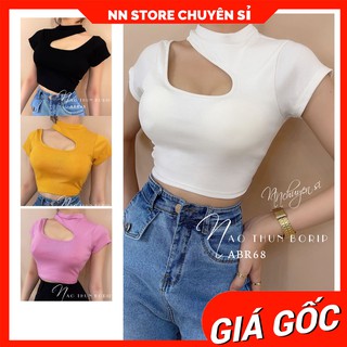 Áo thun nữ phom croptop ôm body chất thun borip mềm mịn co giãn thoải mái ABR68