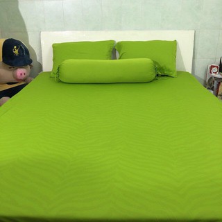 Bộ Drap thun xanh bơ trơn (chân nệm dưới 15cm). bộ Ga thun 1m2/1m4/1m6/1m8