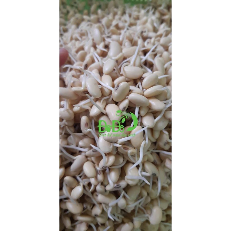 Tinh bột mầm đậu nành Đô Đô 450g & 900g | BigBuy360 - bigbuy360.vn