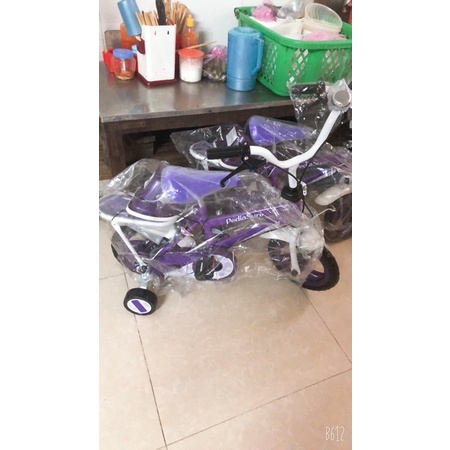 Xe đạp 12 inch pediasure