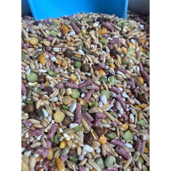 Ngũ cốc đạm Platinum dành cho gà đá (1kg) - Pet Food Store.