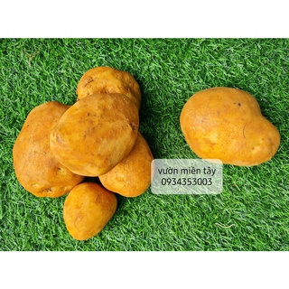 Khoai tây 500g - 1kg
