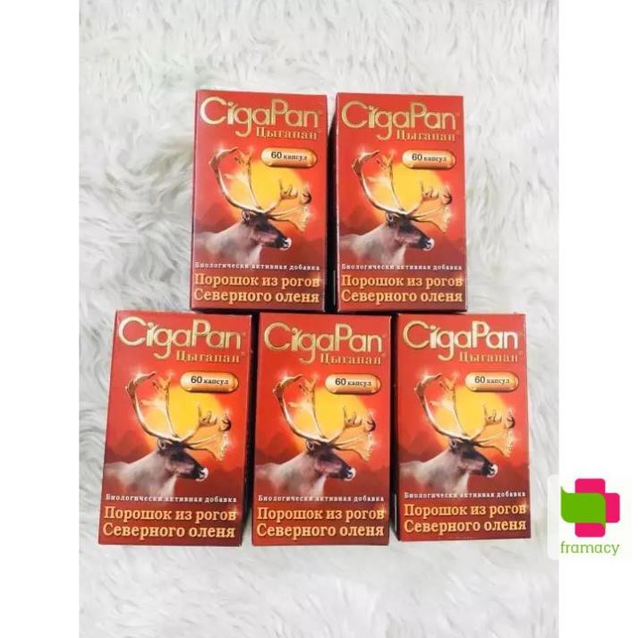 Viên uống nhung hươu Cigapan, Nga (60v) bồi bổ sức khỏe, ngăn ngừa lão hóa, chống loãng xương cho người lớn | BigBuy360 - bigbuy360.vn