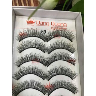 Mi Đăng Quang dòng 3D mã E