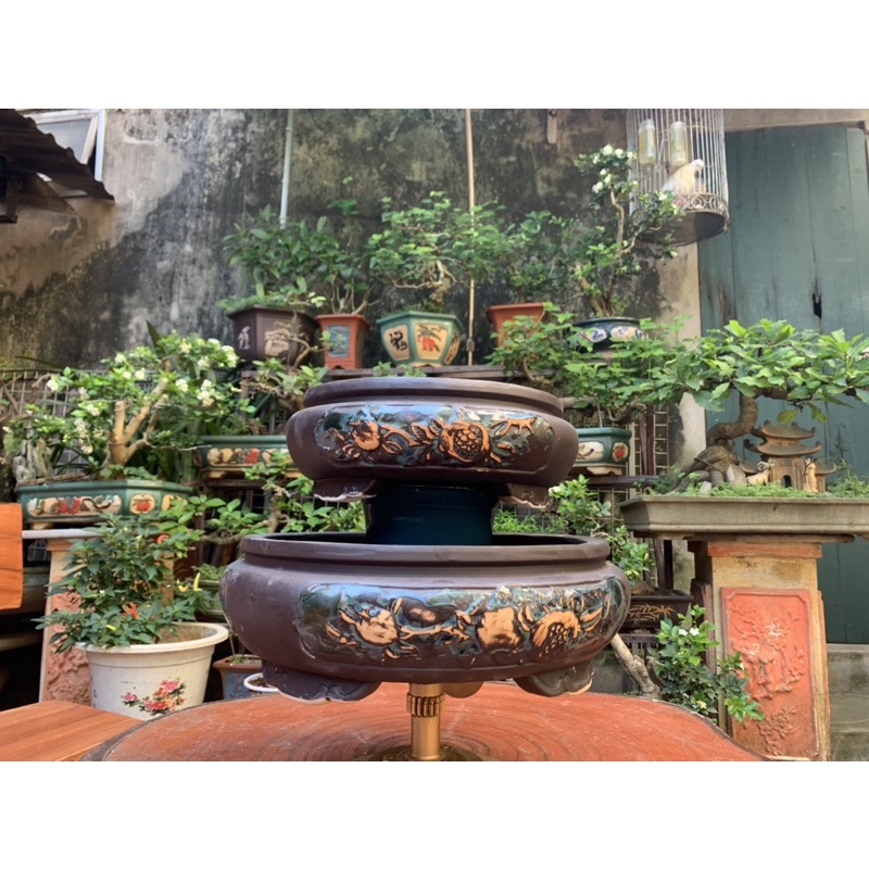 Ang tròn trồng cây bonsai = 389K