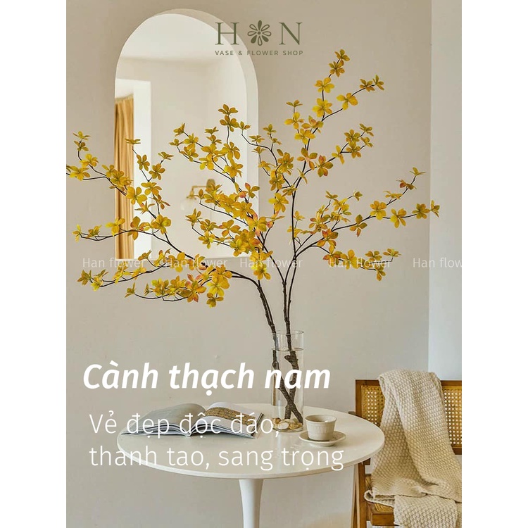 Cành Thạch Nam giả thân nâu loại 1 giống thật  - Han decor