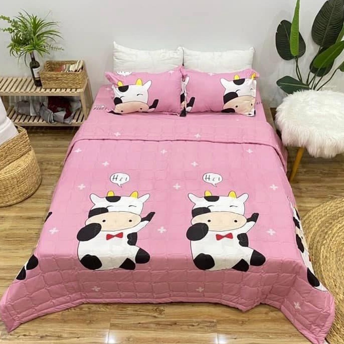 Chăn Hè Cotton Poly Trần Bông 3 Lớp Hàng Loại 1