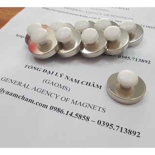 Nam châm đính bảng núm trắng 32mm