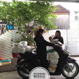 [MUA 100-TẶNG 5 MIẾNG] BỈM MIJUKU SIZE M/L/XL/XXL