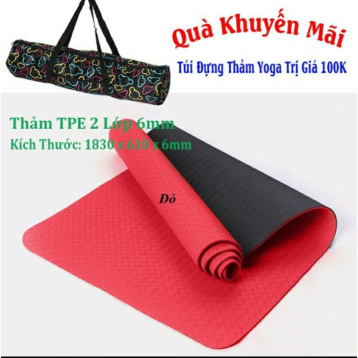 Thảm yoga 6mm 2 lớp PTE Ecofriendly tặng túi xịn (khách chọn màu)