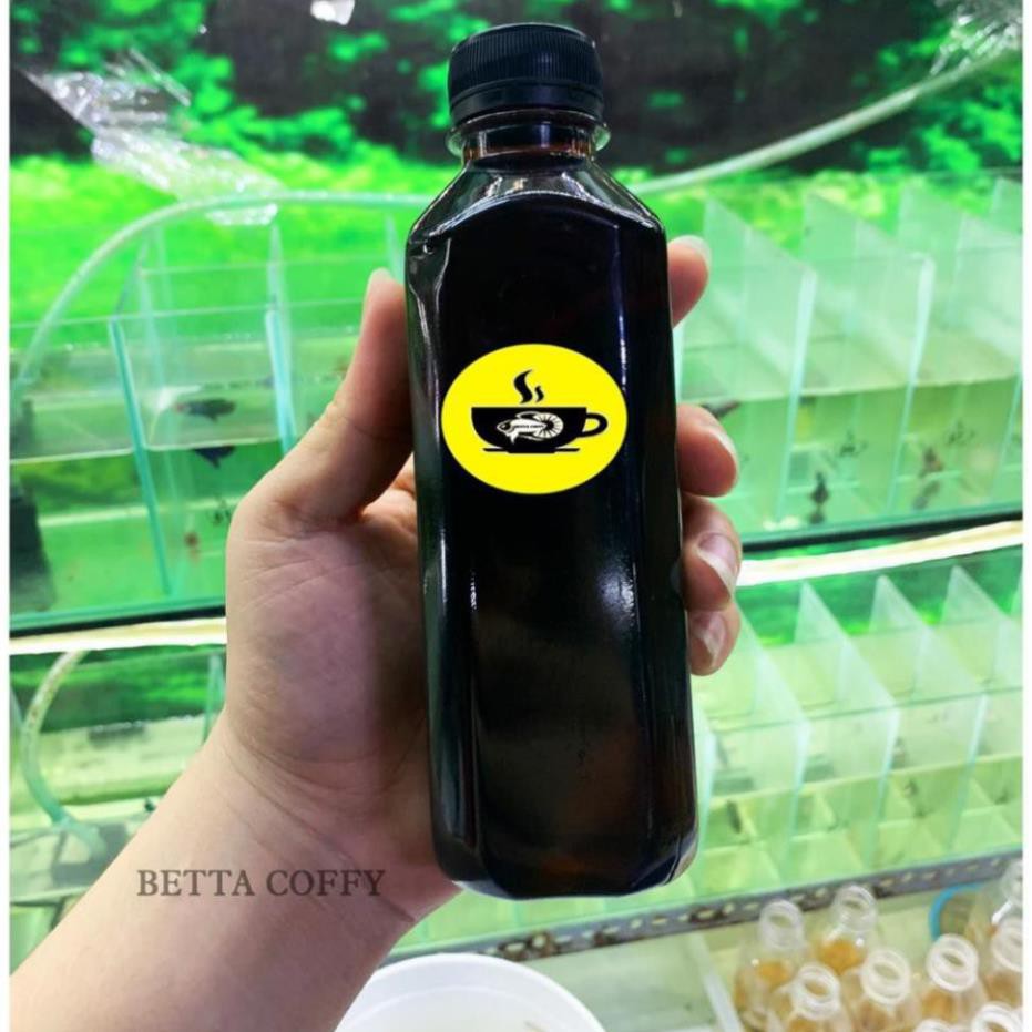 Nước Cốt Lá Bàng bổ sung VITAMIN - Giúp Cá Sung + Khỏe Mạnh