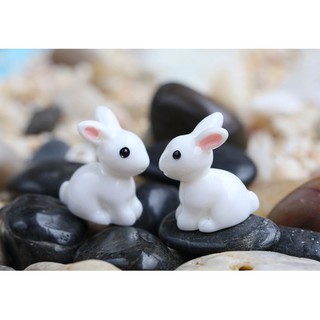 Thỏ Trắng Dễ Thương - Phụ Kiện Trang Trí Tiểu Cảnh Sen Đá/Bonsai, Terrarium
