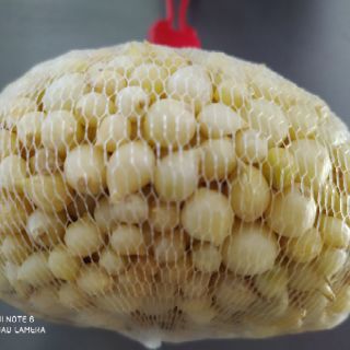 Củ nén Bình Sơn- Đặc sản Quảng Ngãi 500gram