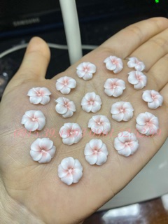 Hoa đậu ombre ( chọn đúng màu theo phân loại )