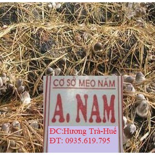 Bột lông vũ cao cấp