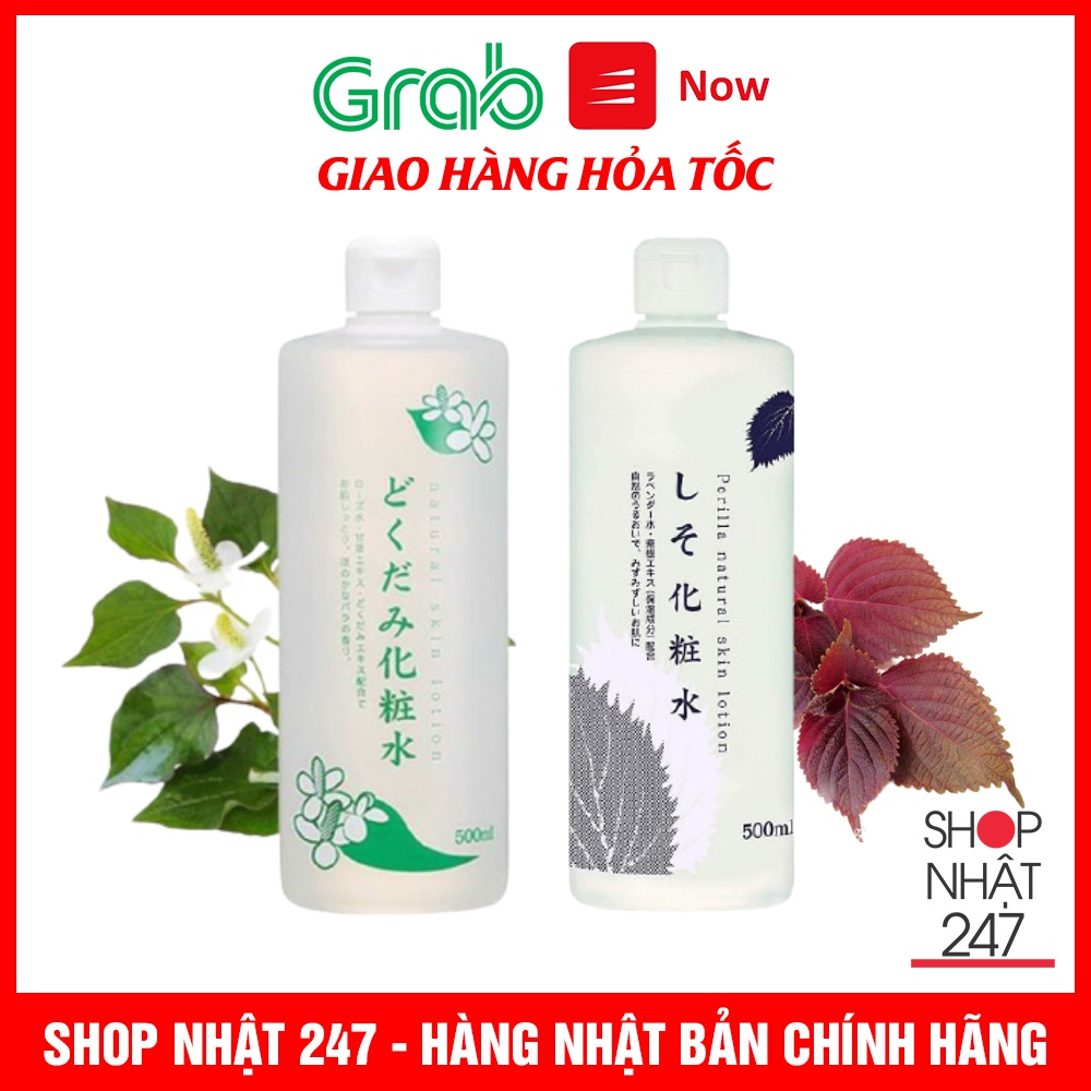 Nước hoa hồng diếp cá, tía tô Dokudami Nội Địa Nhật Bản