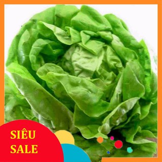 2g Hạt giống Xà lách búp