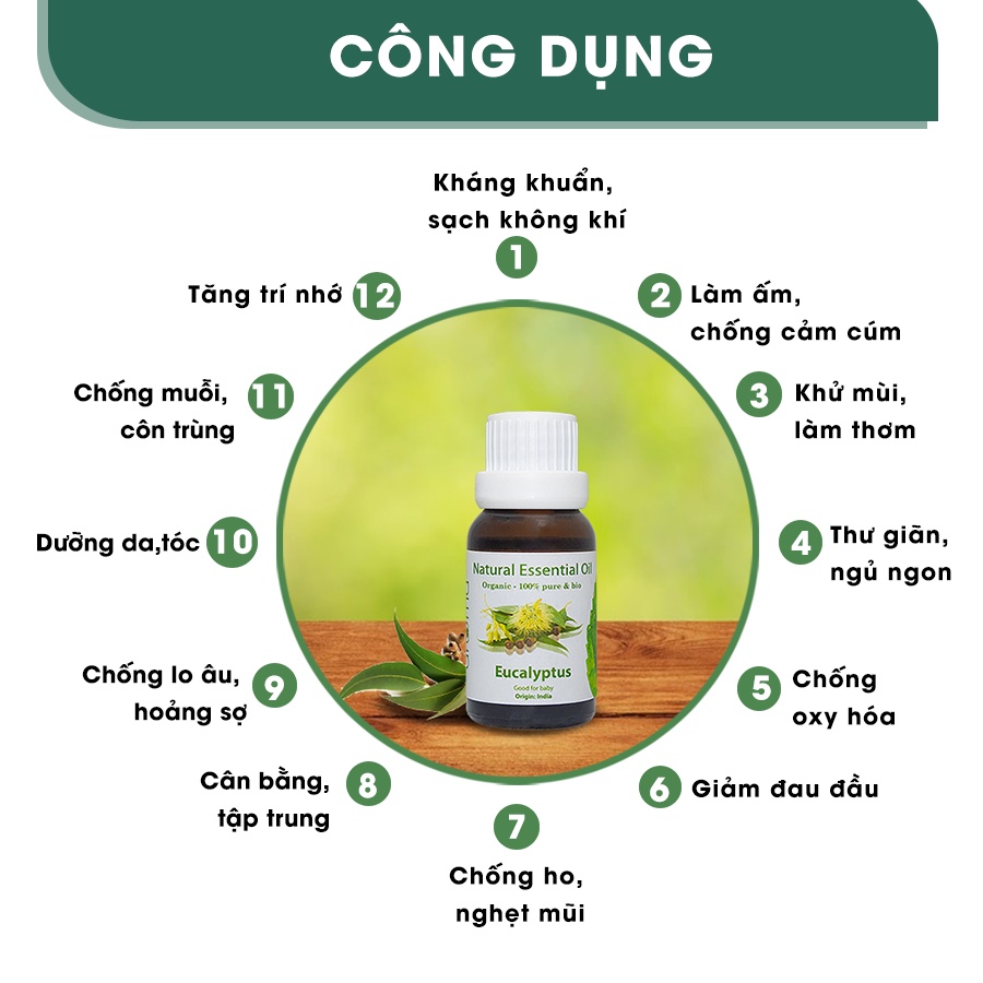 Tinh Dầu Tự Nhiên AROMA Khuynh Diệp 10ml