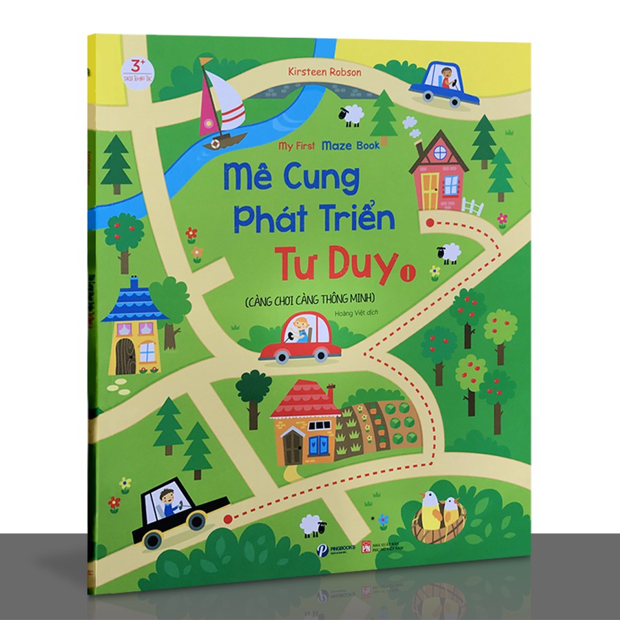 Sách - Mê cung phát triển tư duy 1