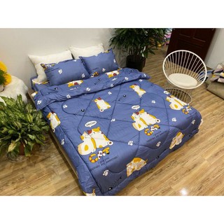 Trọn bộ 5 món chăn phao poly cotton [ mẫu mèo cát xanh ]