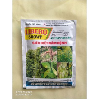 Thuốc siêu diệt trừ nấm bệnh 800WP