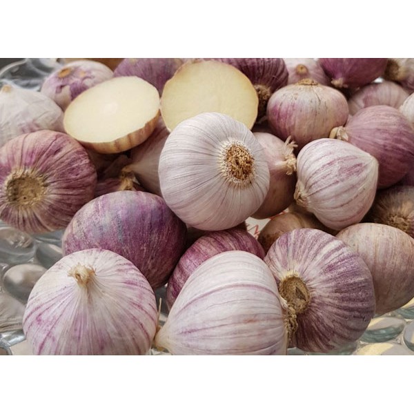 500Gr Tỏi Cô Đơn  | Bò Đội Nón Shop