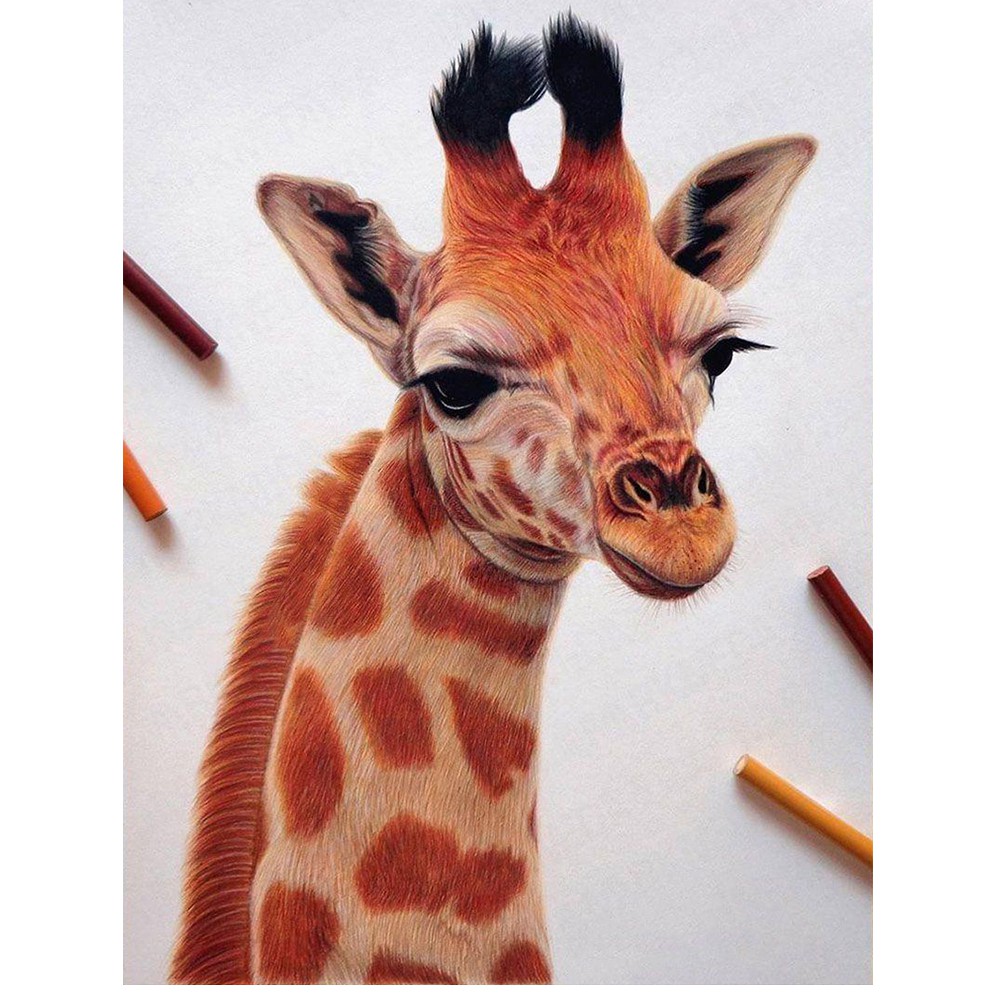 Bút Chì Màu Lõi Mềm prismacolor 927 / 935 / 938 / 1092 / 1093