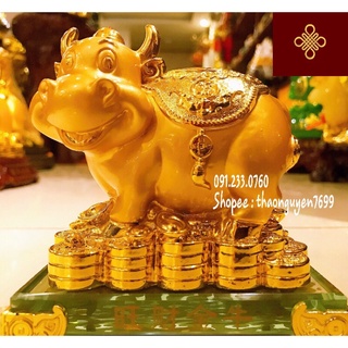 Tượng Trâu Phong Thuỷ đứng trên tiền vàng