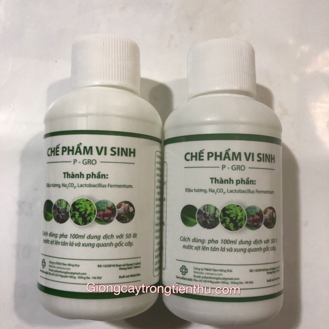 CHẾ PHẨM VI SINH P-GRO (ĐẬU TƯƠNG,Na2Co3,Lactobacillus Fermentum)