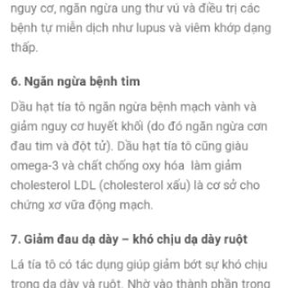 Hạt giống cây tía tô