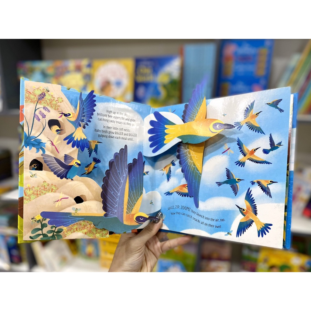 Usborne Pop up NEW 100%