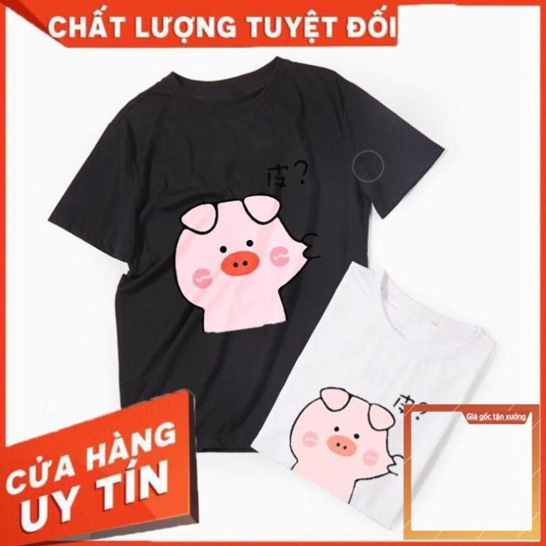 [SALE] [FREESHIP-KEM ẢNH THẬT] ÁO THUN HÌNH CON HEO ĐẸP DỄ THƯƠNG