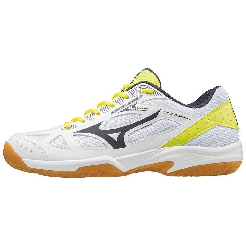 {HÀNG CHÍNH HÃNG} GIÀY BÓNG CHUYỀN MIZUNO MÃ 71GA194505