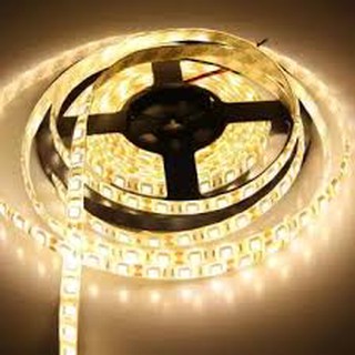 Đèn led dây 5m điện áp 12v có keo + phủ silicon ánh sáng vàng