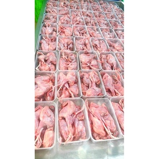 CHIM CÚT ƯỚP SẴN 1kg (hoả tốc HCM)