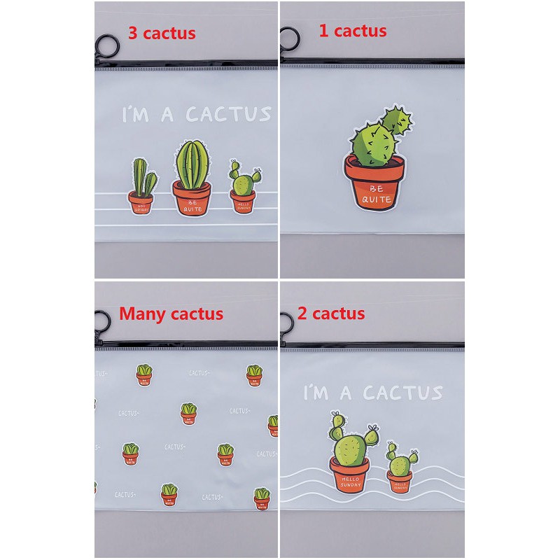 Bóp viết nhựa trong suốt in hình cây xương rồng dễ thương