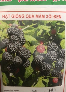 Hạt giống quả mâm xôi đen/ đỏ ☘️