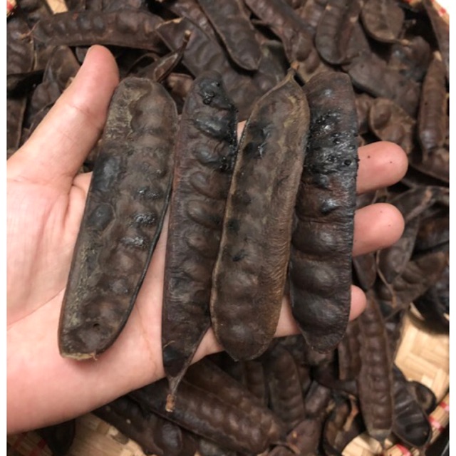 Bồ kết rụng nướng nguyên quả 500g