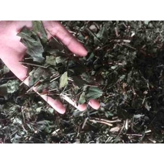 CHÈ VẰNG LỢI SỮA