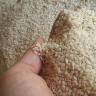 Vừng nõn vàng nghệ an