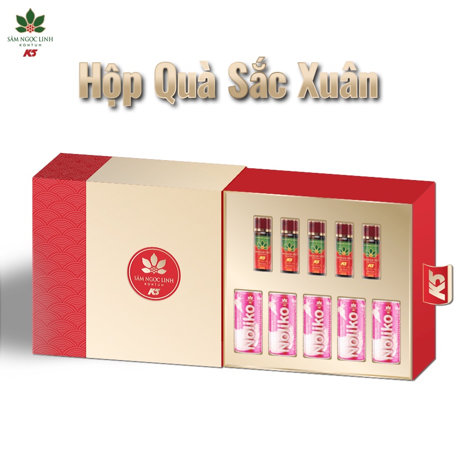 [Quà Tết] Hộp Quà Sắc Xuân - Sâm Ngọc Linh Kon Tum K5 Chính Hãng