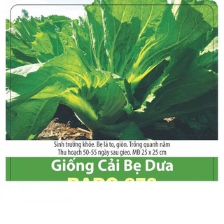 Hạt Giống Cải Bẹ Dưa Cao Sản, Giòn Ngọt Gói 10gr
