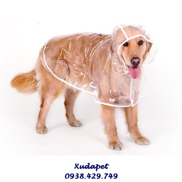 Áo Mưa Trong Suốt Cho Chó Lớn Trên 12kg giúp giữ ấm, giúp bảo vệ sức khỏe của thú cưng – Xudapet - SP005250